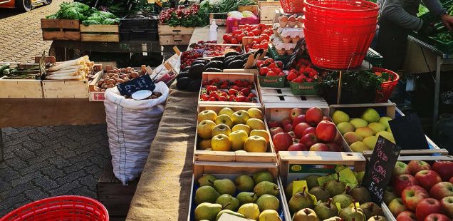 Pourquoi acheter des fruits récoltés à proximité ?